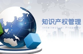 構(gòu)建知識(shí)產(chǎn)權(quán)管理與服務(wù)體系的關(guān)鍵路徑與價(jià)值體現(xiàn)